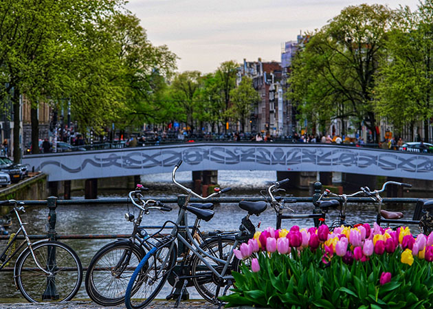 Van de Beemster tot de Zaanstreek